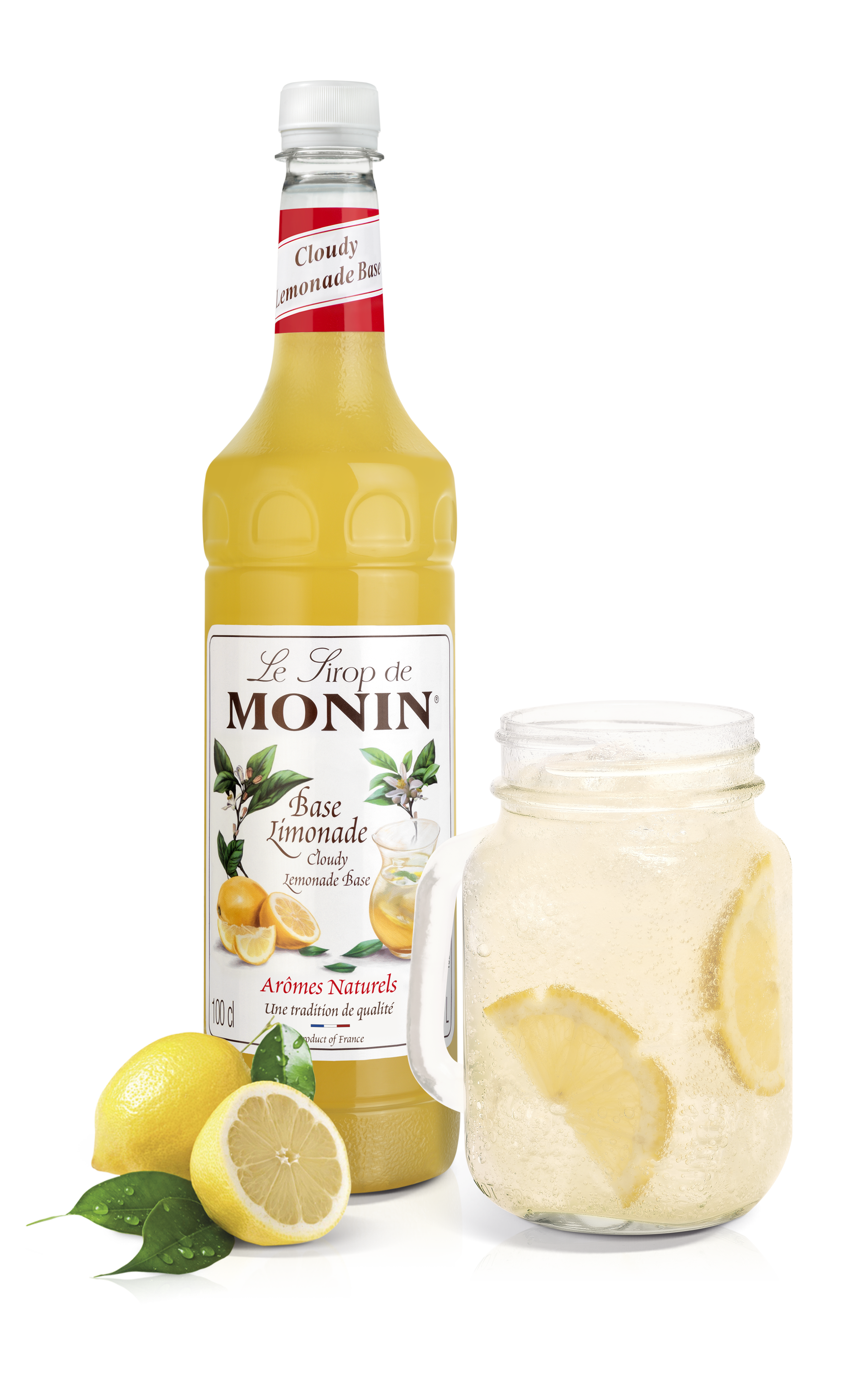 Le Sirop de MONIN Cloudy Lemonade Base