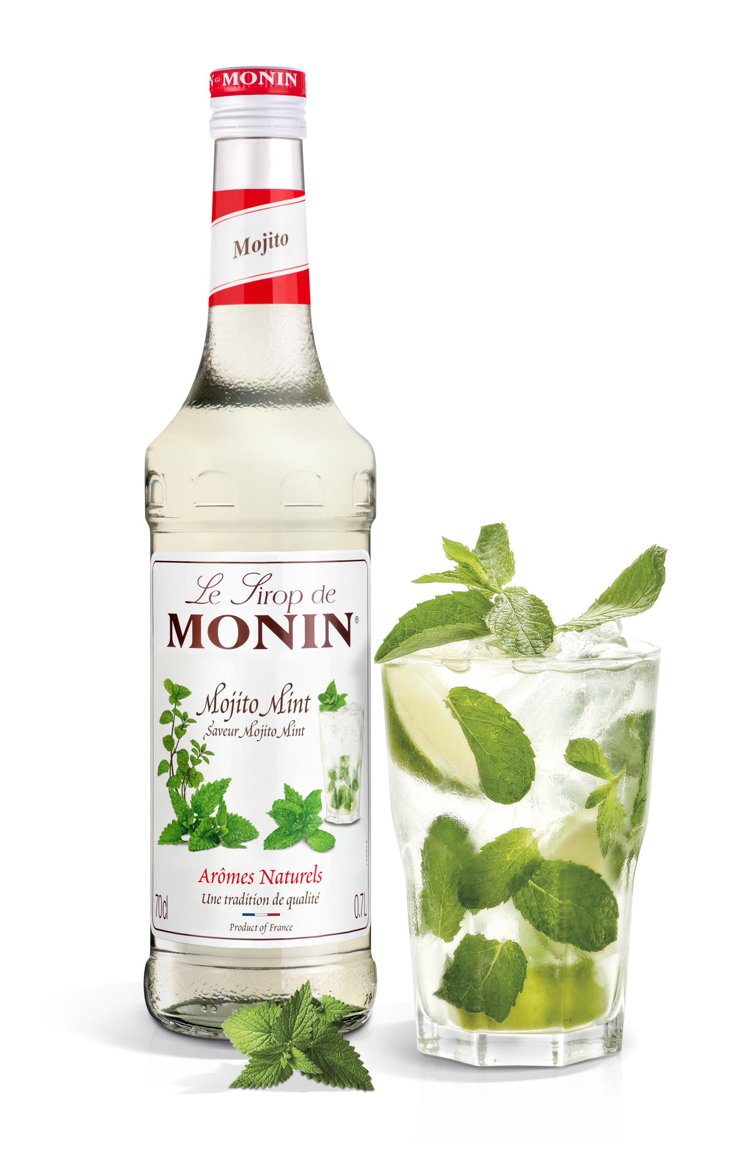 Le Sirop de MONIN Mojito Mint