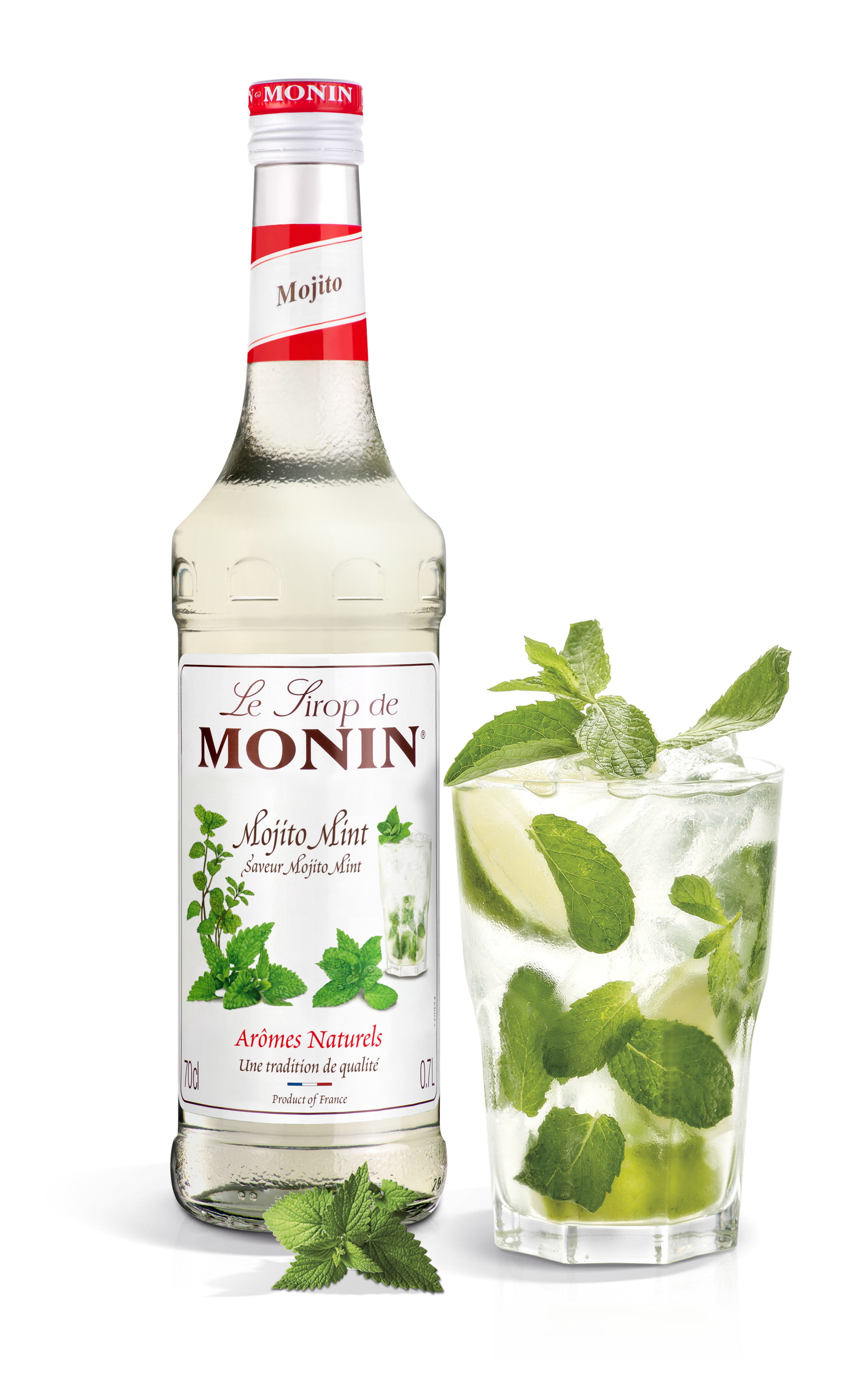 Le Sirop de MONIN Mojito Mint