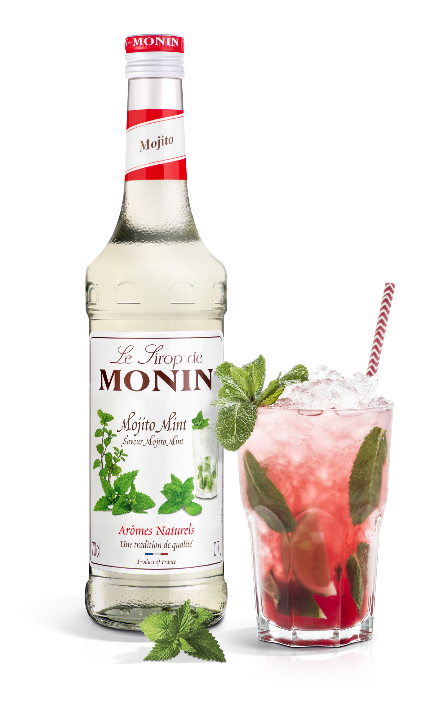 Le Sirop de MONIN Mojito Mint