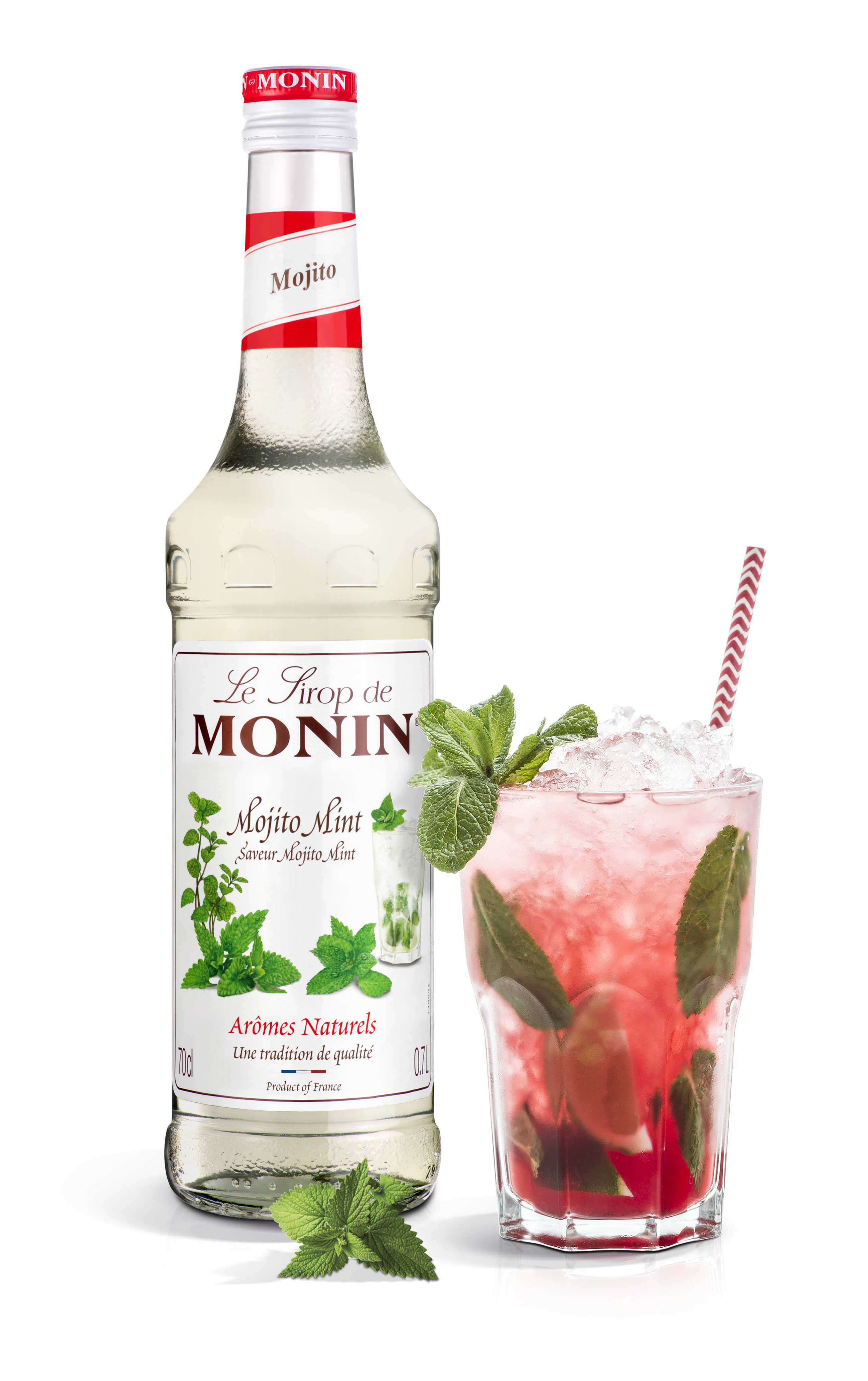 Le Sirop de MONIN Mojito Mint